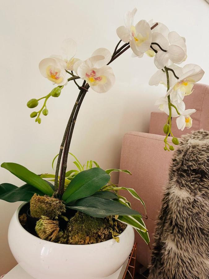Apartament Le Nid Douillet De Patricia Paryż Zewnętrze zdjęcie